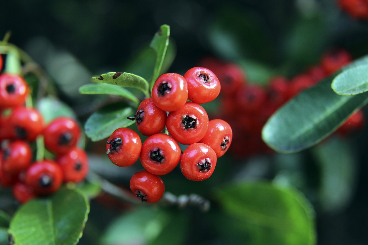 的教育和心 的教育和心