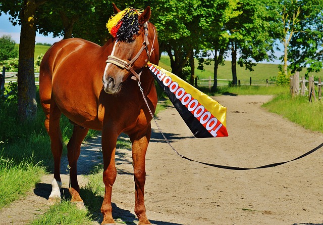 爱的见证 爱的见证